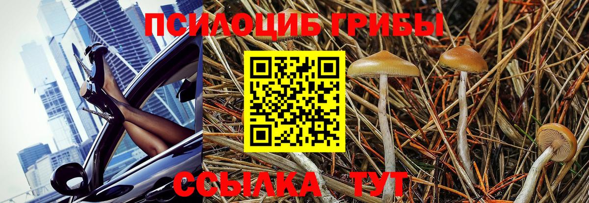 Семёнов  как найти закладки  Вход с VPN  Псилоцибиновые грибы MAGIC MUSHROOMS 
